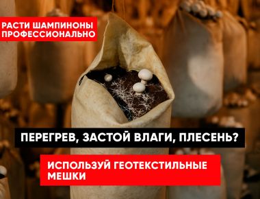Дышащие мешки для гибов шампиньонов — максимум урожая без перегрева и заражений